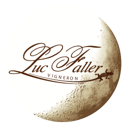 logo-web250-1 Vin Bio Alsace