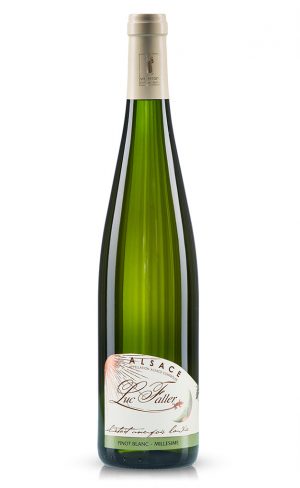 Pinot blanc barrique 2010 - Old vines