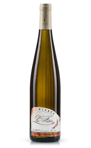Pinot Gris 2015 - Vendange Tardive