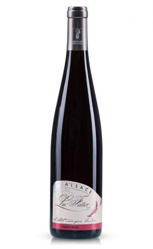Pinot Noir 2021 - Vieilles Vignes