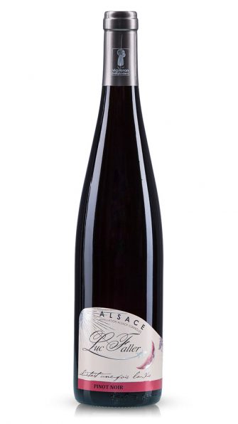Pinot Noir 2021 - Vieilles Vignes