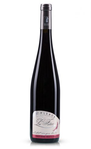Pinot noir Barrique 2016