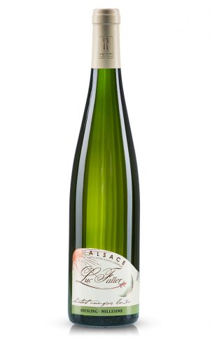 Riesling Fronholz 2021